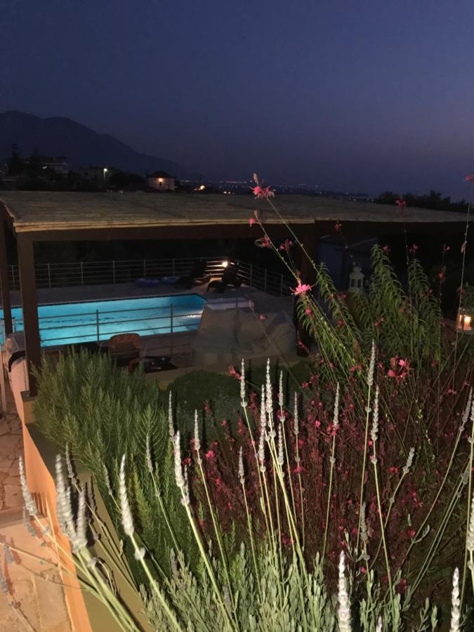 Villa Verde Ano Kalon Neron Exterior foto